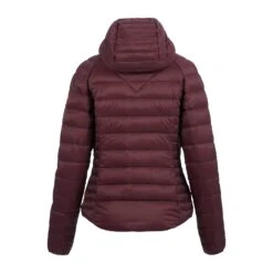 Canada Goose Brookvale Hoody - Women's|-|Manteau à Capuchon Brookvale - Femme 18 Canada Goose Brookvale Hoody - Women's|-|Manteau à Capuchon Brookvale - Femme -Canada Goose CGO 5501L 7EPlum 20 20 20Black 7Eback bf5d3c9e b409 40b9 a574 0709e11bbb14