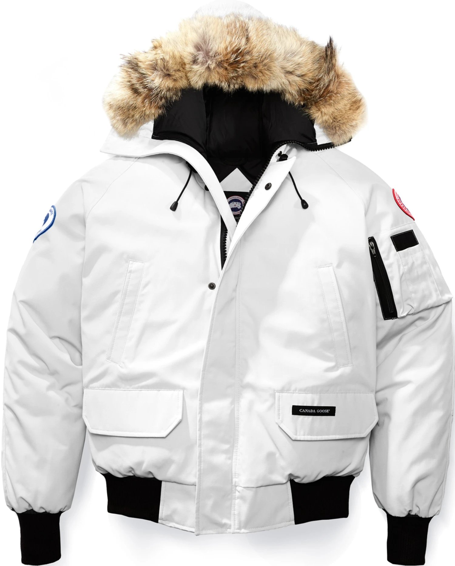 Canada Goose Chilliwack Bomber PBI - Men's|-|Blouson Aviateur Chilliwack PBI - Homme 11 Canada Goose Chilliwack Bomber PBI - Men's|-|Blouson Aviateur Chilliwack PBI - Homme - Image 9